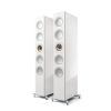 415 REFERENCE 5 META high gloss white / champagne